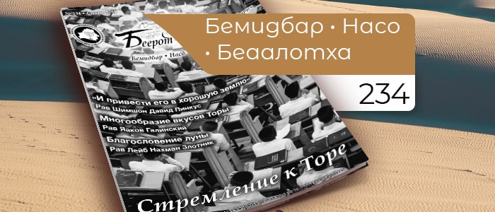 Стремление к Торе