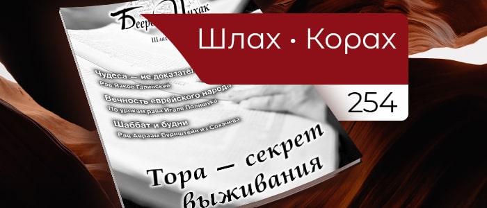 Тора — секрет выживания