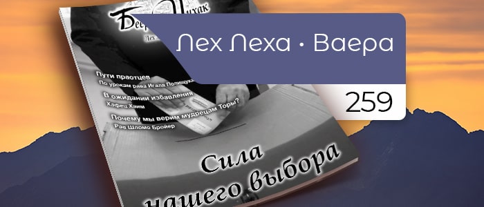 Сила нашего выбора