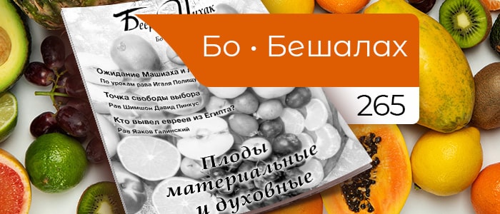 Плоды материальные и духовные
