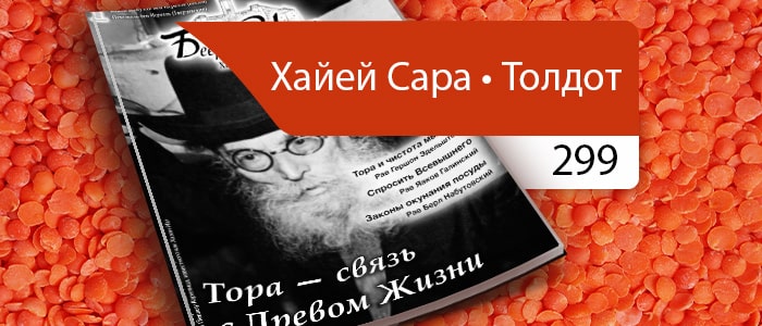 Тора — связь с Древом Жизни