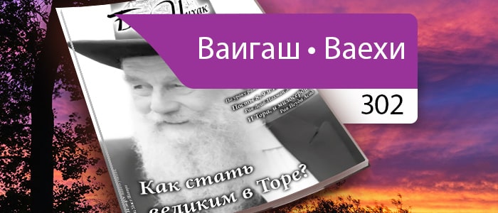 Как стать великим в Торе?