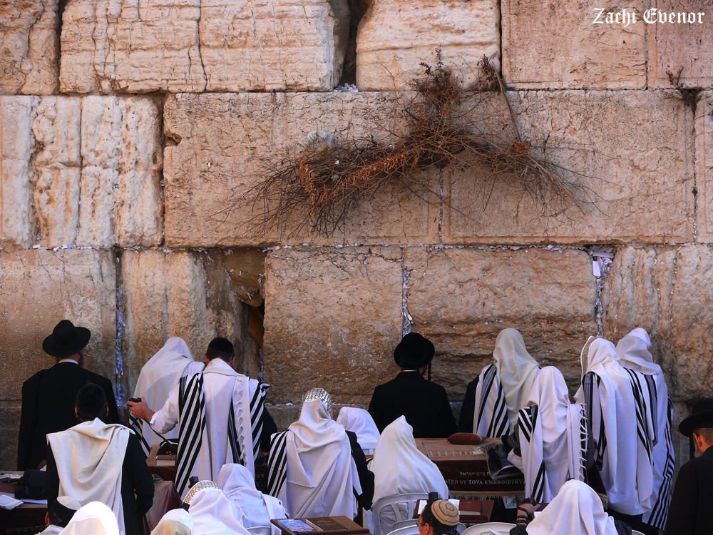 Авину Малкейну — אבינו מלכינו