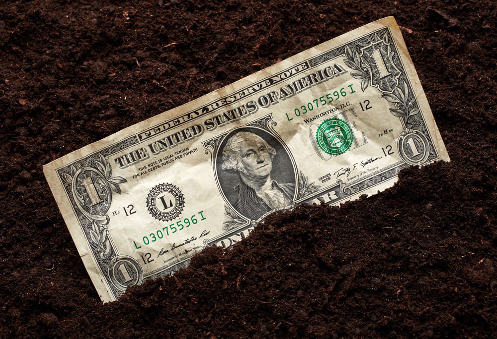 One dollar on soil background
