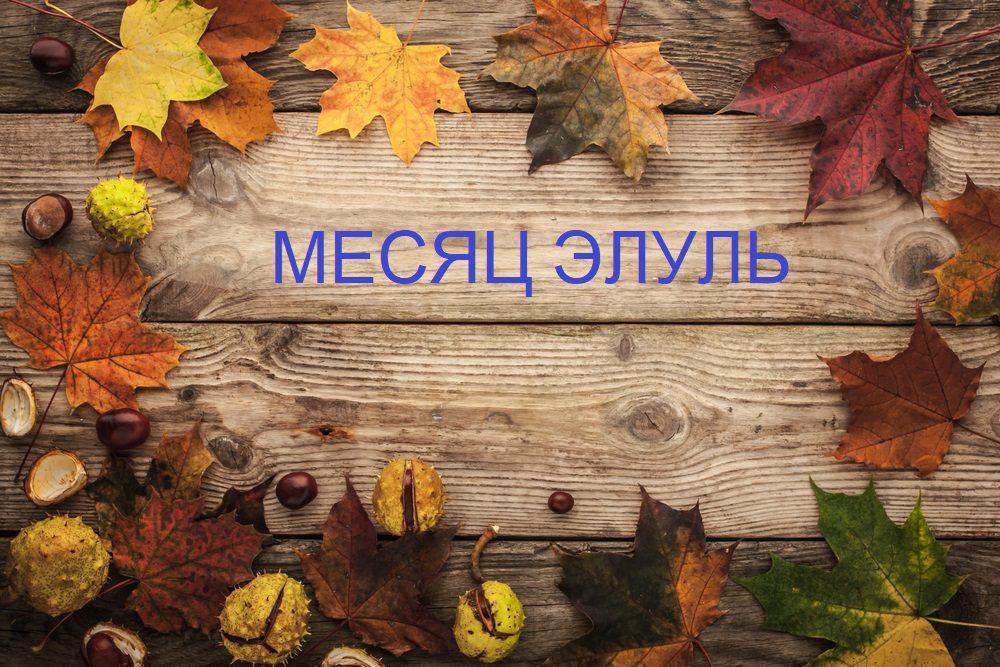 Законы месяца Элуль для новичков