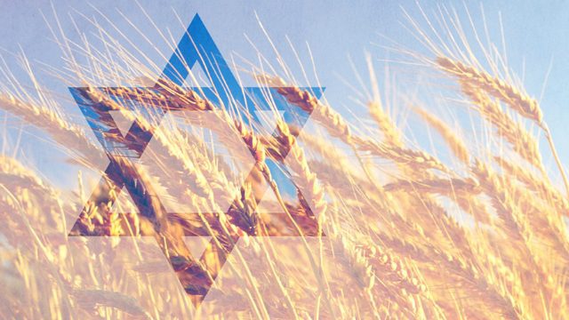 Заповеди — мудрость ваша в глазах других народов