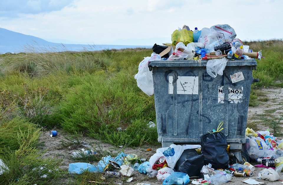Мусорщик на службе у короля