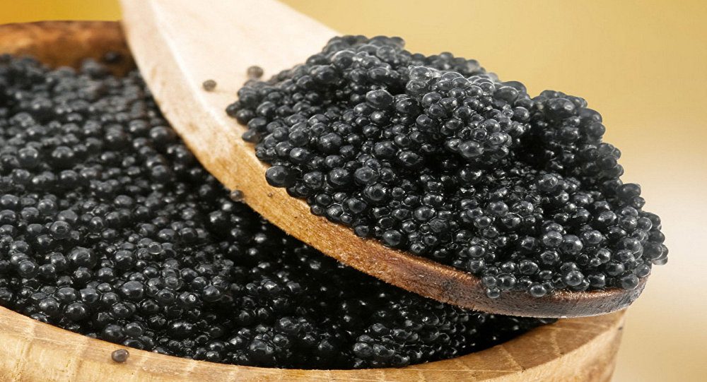 Черная икра – кошерная?
