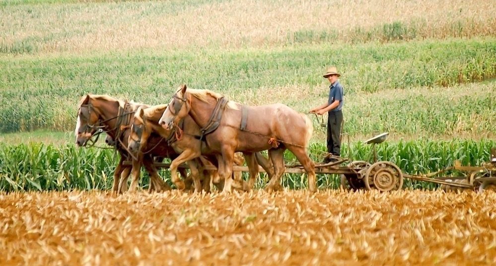 Для новичков. Пахота