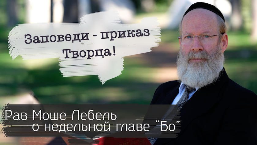 О недельной главе «Бо»