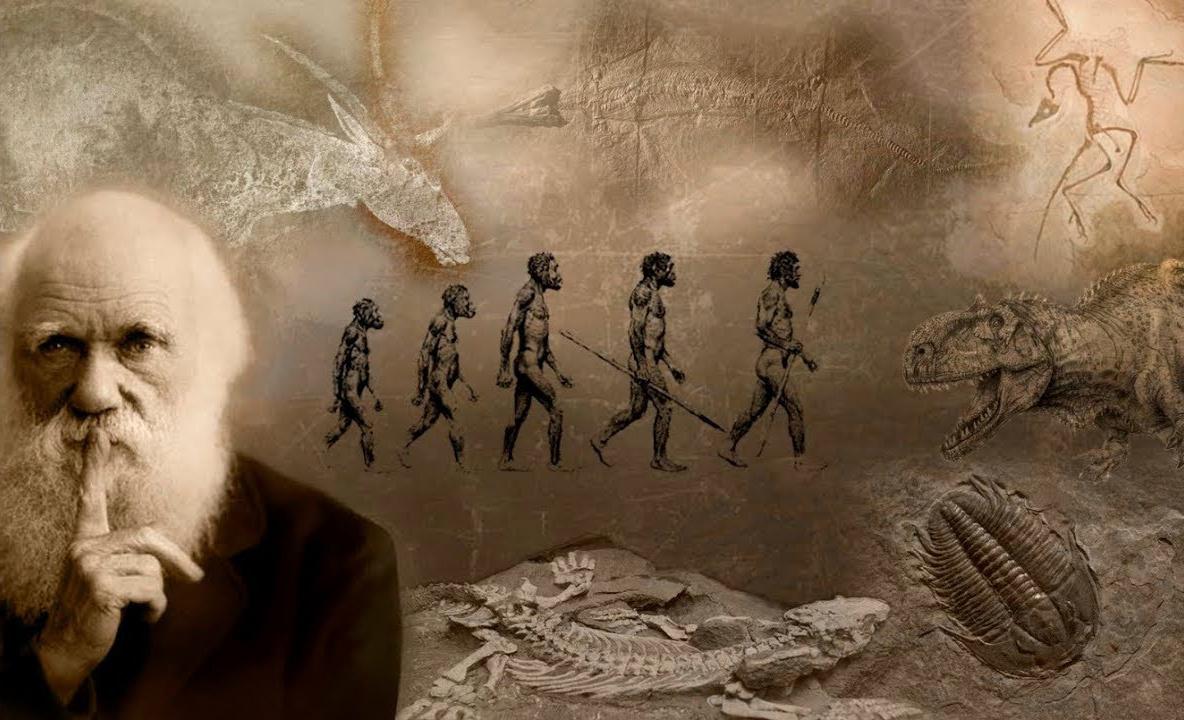 Теория эволюции и сфабрикованные подделки