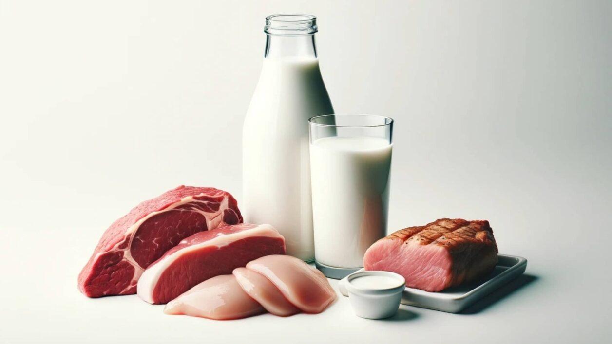 Можно ли смешивать некошерное мясо с молочными продуктами?