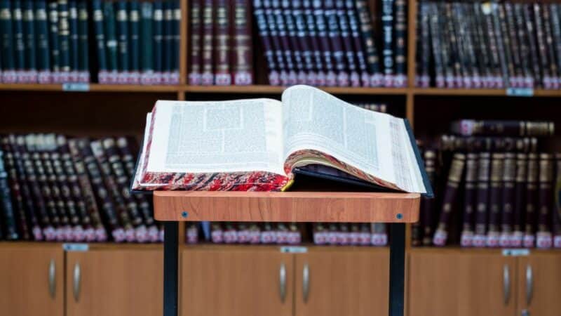 Ключ к пониманию Торы: почему важны обширные знания?