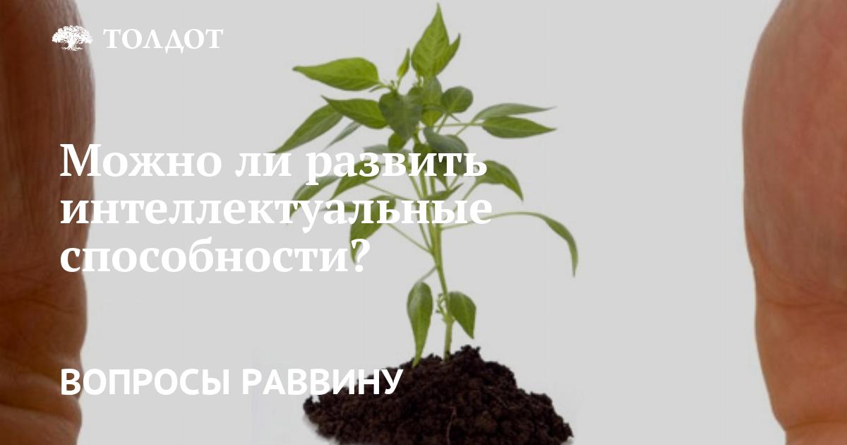 Можно ли развить интеллектуальные способности?