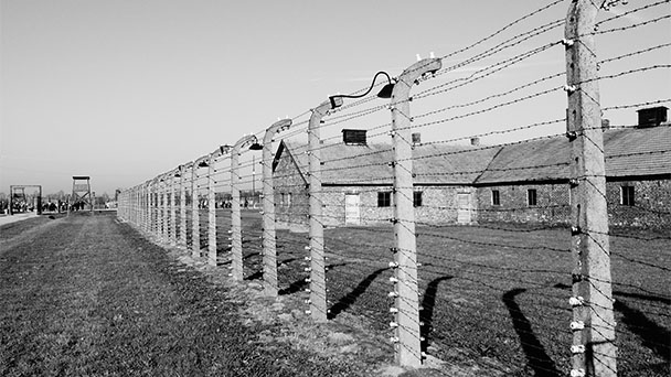 Пророки предупреждают о Катастрофе
