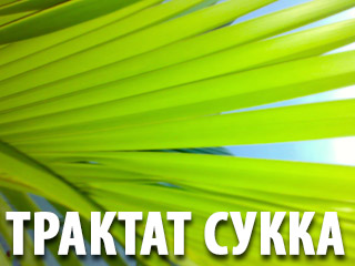 Талмуд. Трактат Сукка 88.