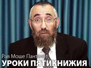 Корах и его сообщники