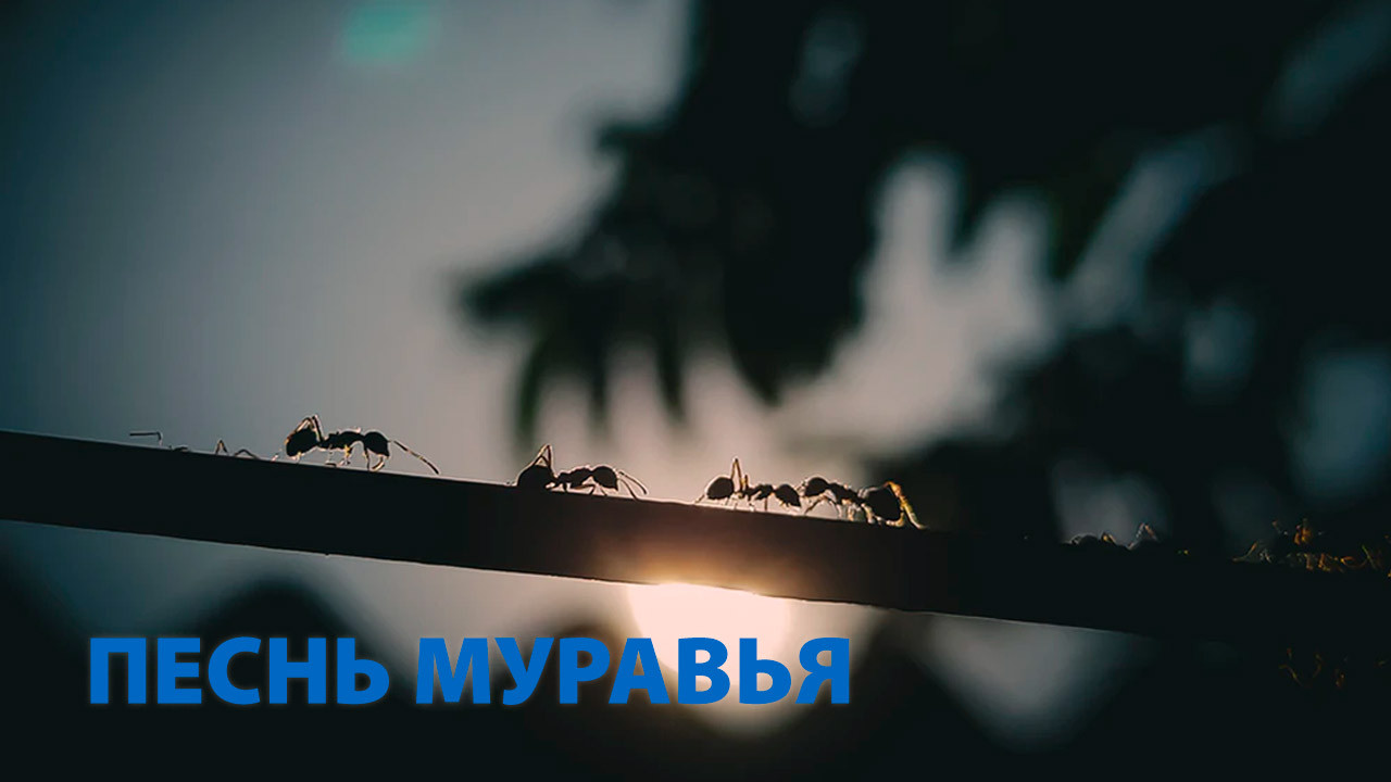 Песнь муравья