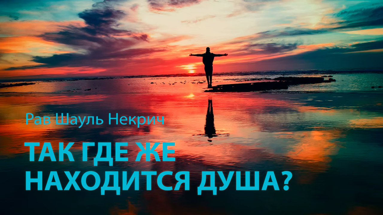 Так где же находится душа?