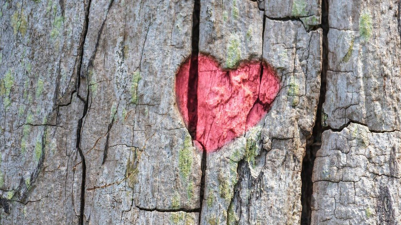 Интимные отношения до свадьбы запрещены… Как же можно жениться, вдруг мы не подходим друг другу физически?