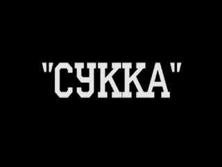 Празднование Суккота