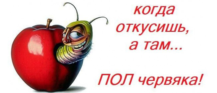 Пища для души и для тела