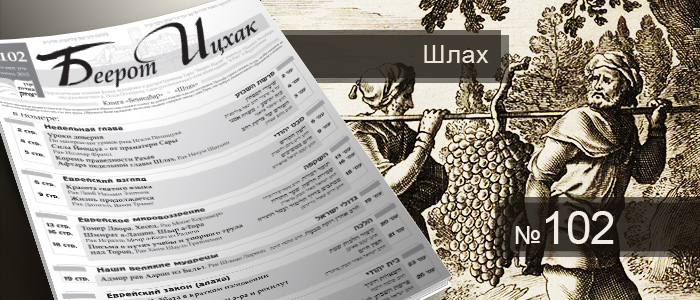 Недельная глава Шлах