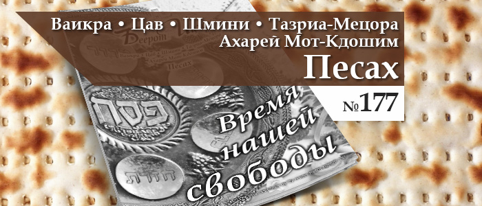 Время нашей свободы