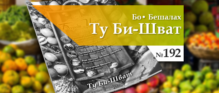 Ту Би-Шват