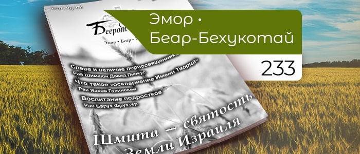 Шмита — святость Земли Израиля