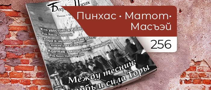 Между теснин: скорбь и сила Торы