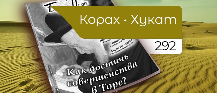Как достичь совершенства в Торе?