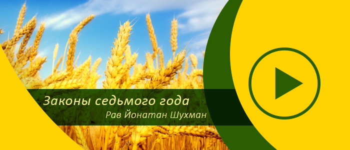Законы Седьмого года — Урок 1 — Введение