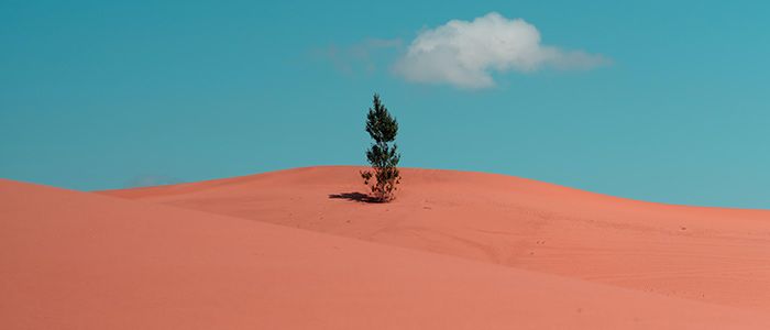 Комментарий к стихам Видуя (исповеди) — Ашамну