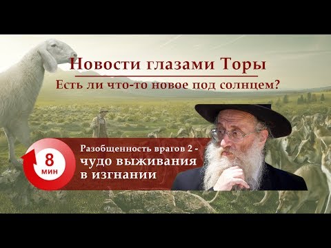 Разобщенность врагов 2 — Чудо выживания в изгнании
