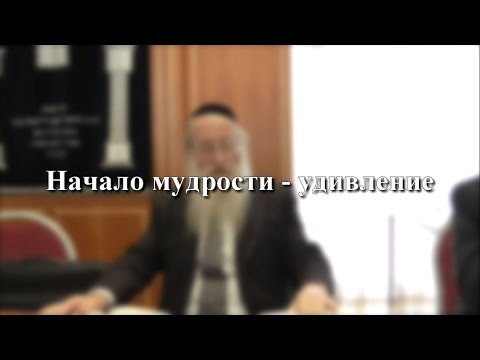 Начало мудрости – удивление
