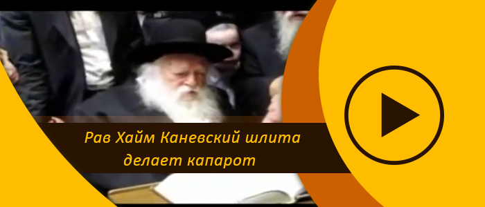 Рав Хаим Каневский шлита делает капарот в канун Йом Кипура 5771 года