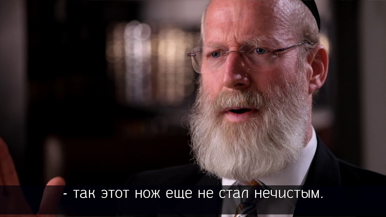 рав Моше Лебель — Пинхас (иврит)