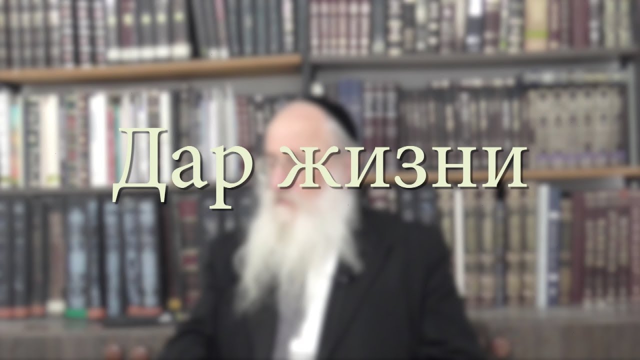 Дар жизни