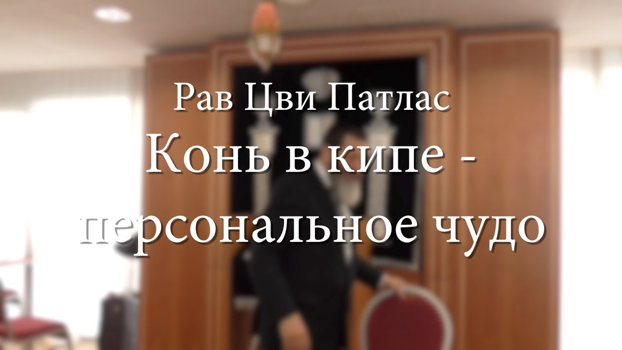 Конь в кипе – персональное чудо