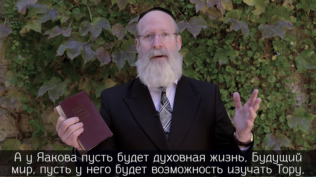 рав Моше Лебель — Толдот – украденные благословения (иврит)
