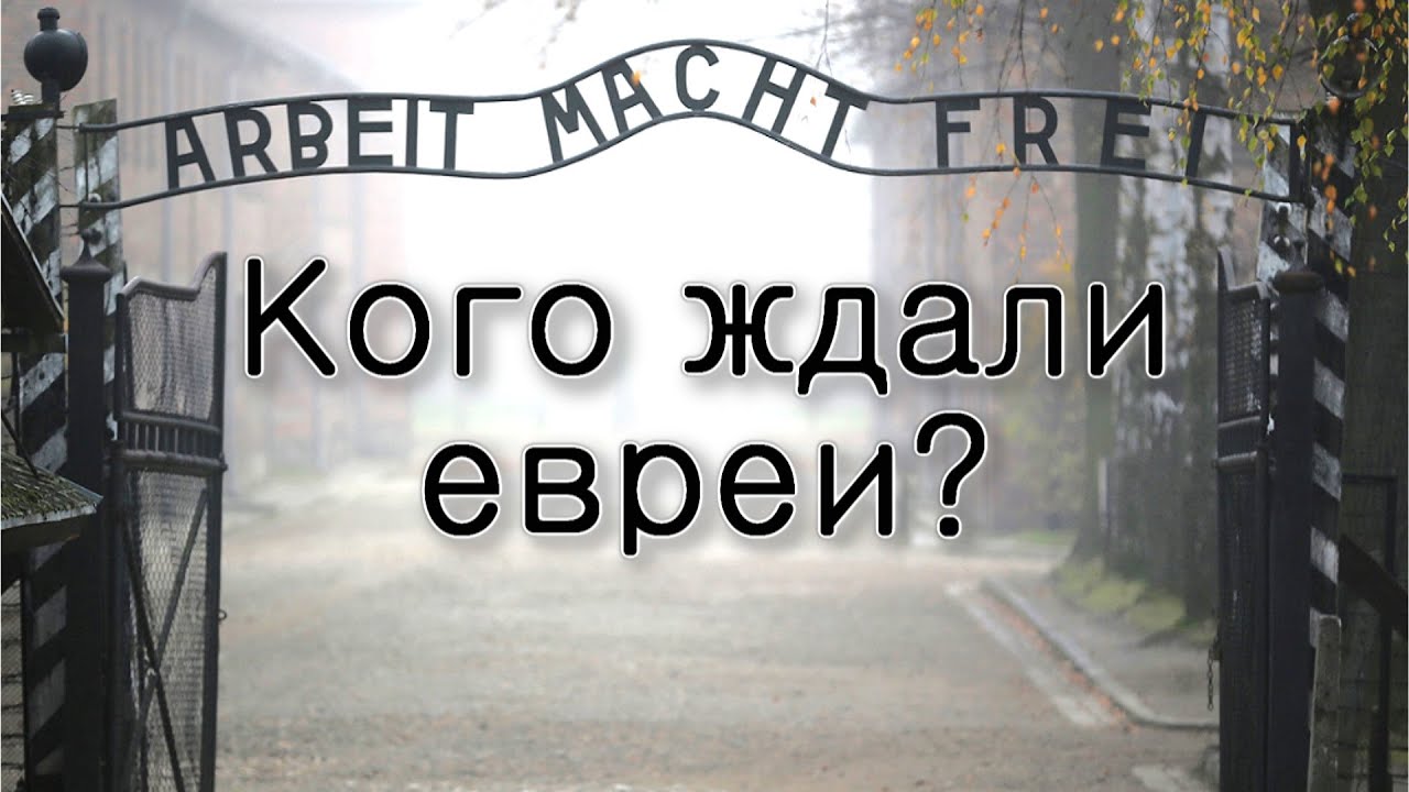 Кого ждали евреи в концлагерях?