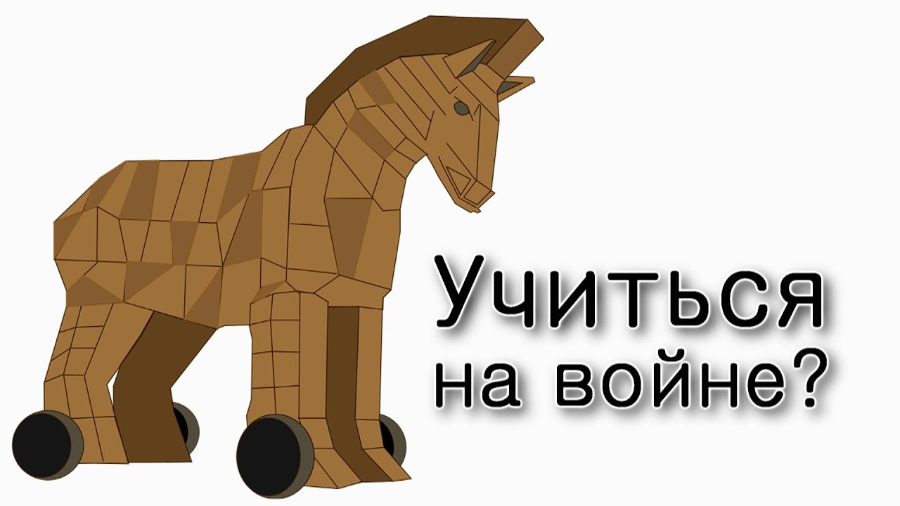 Ваикра. Как учиться во время войны?