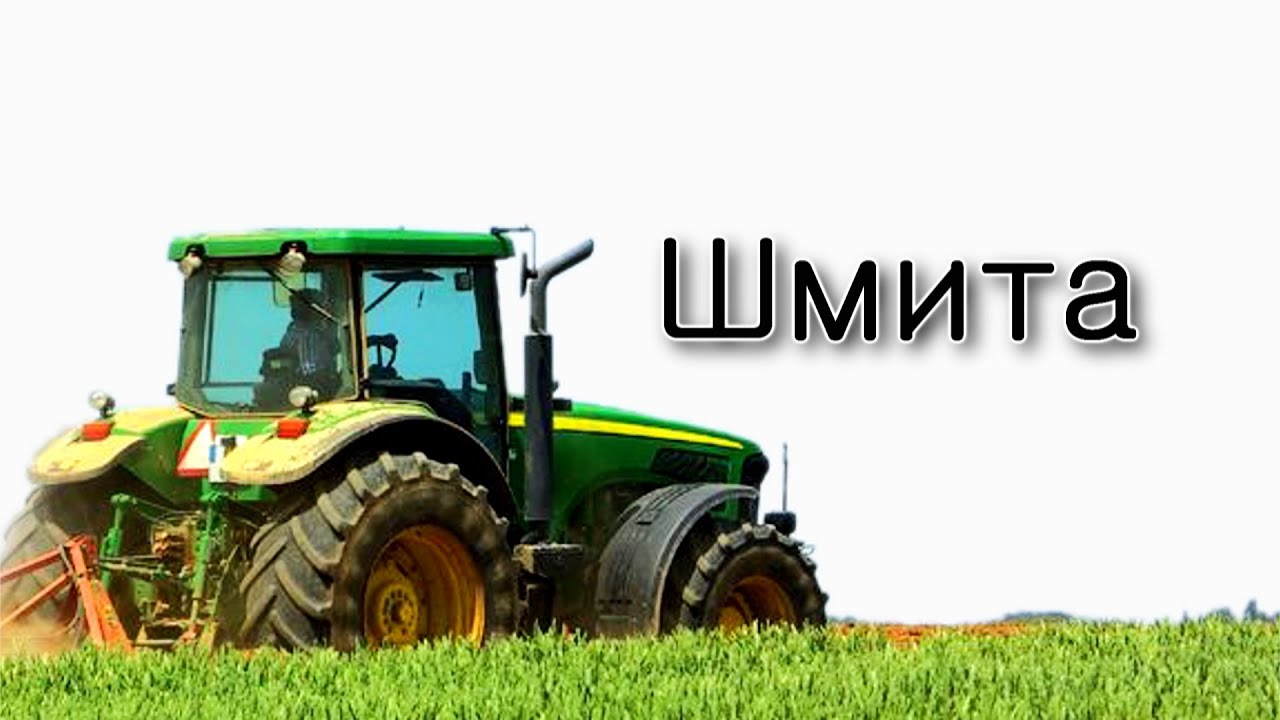 Беар – Как соблюдать Шмиту?