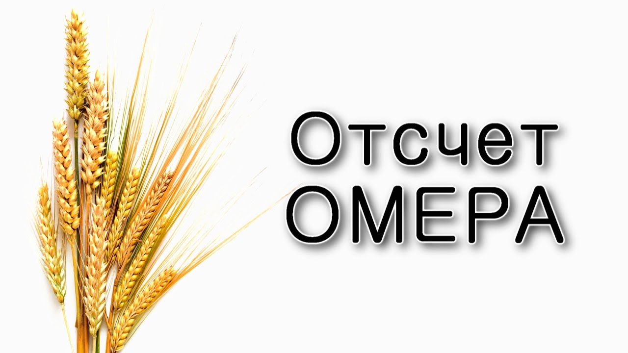 Отсчет омера в жизни еврея