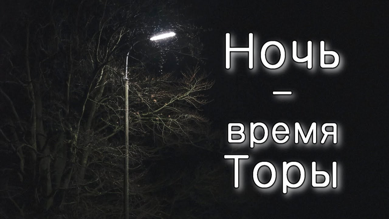 Почему ночь – это время изучения устной Торы?