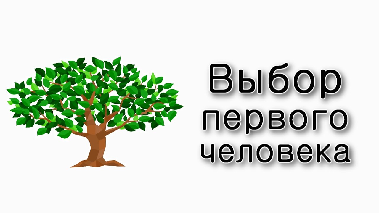 Выбор первого человека