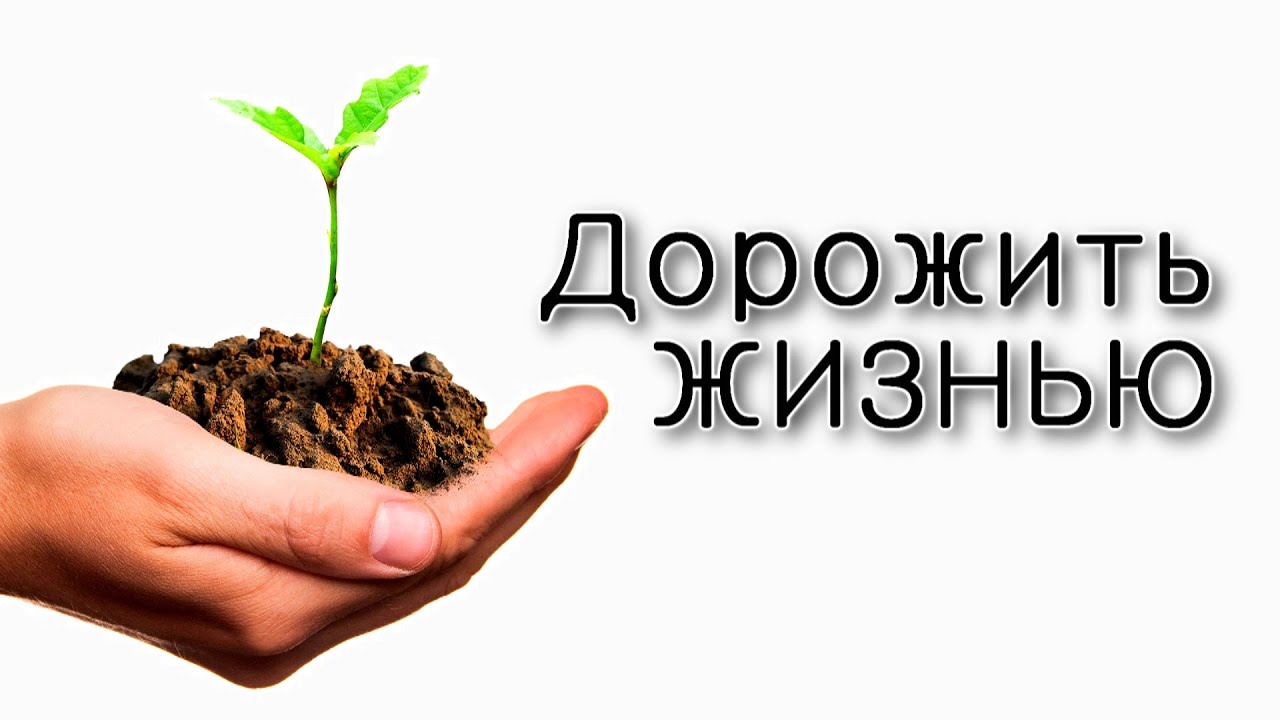 Как дорожить жизнью?