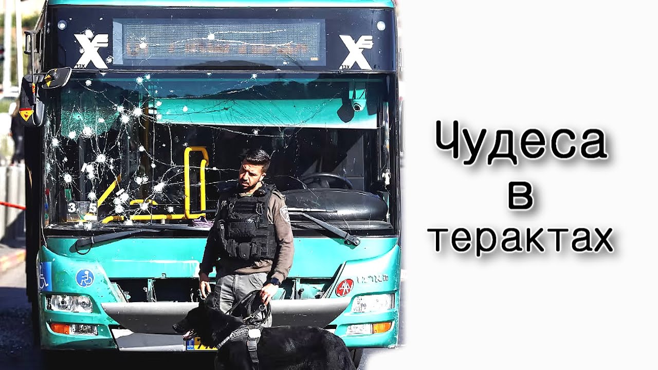 Чудеса в терактах