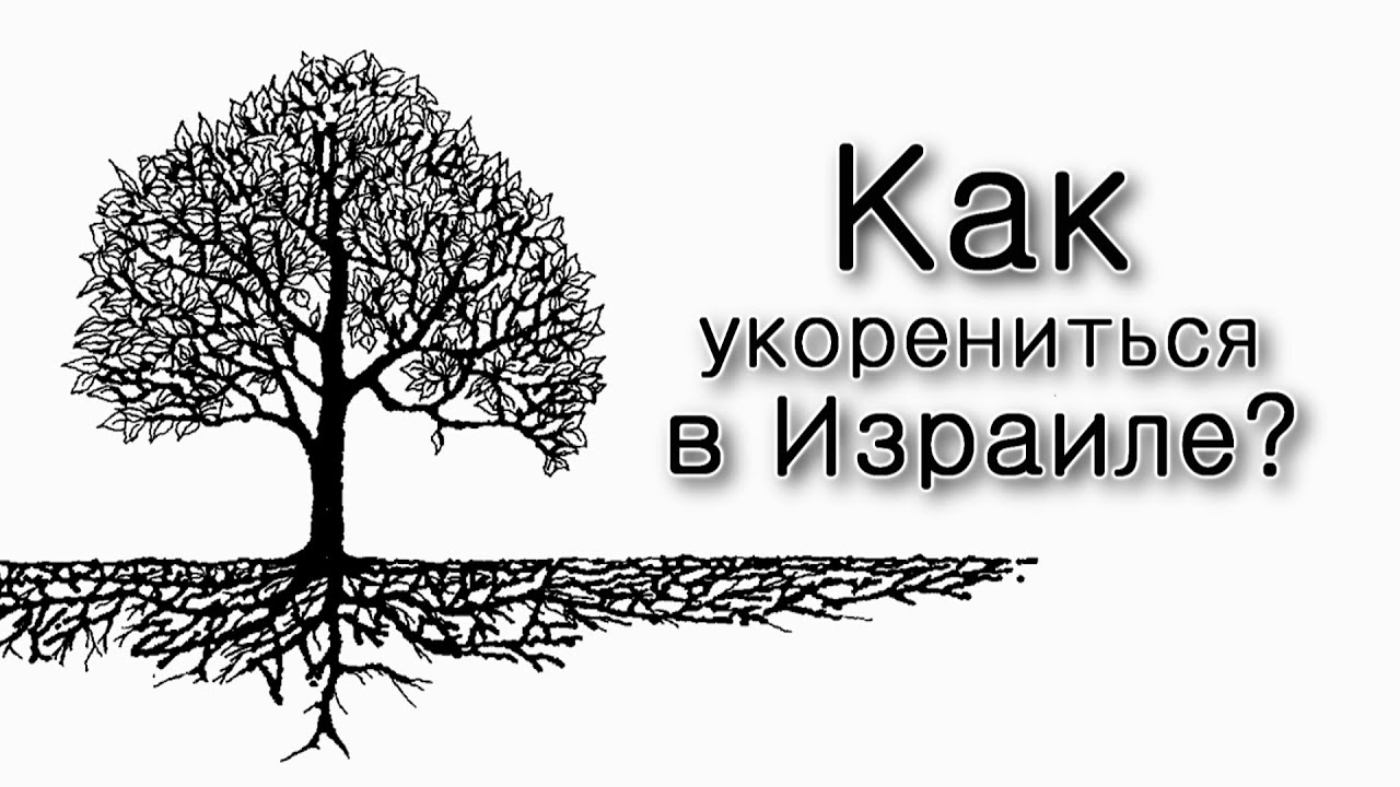 Как «укорениться» в Земле Израиля?